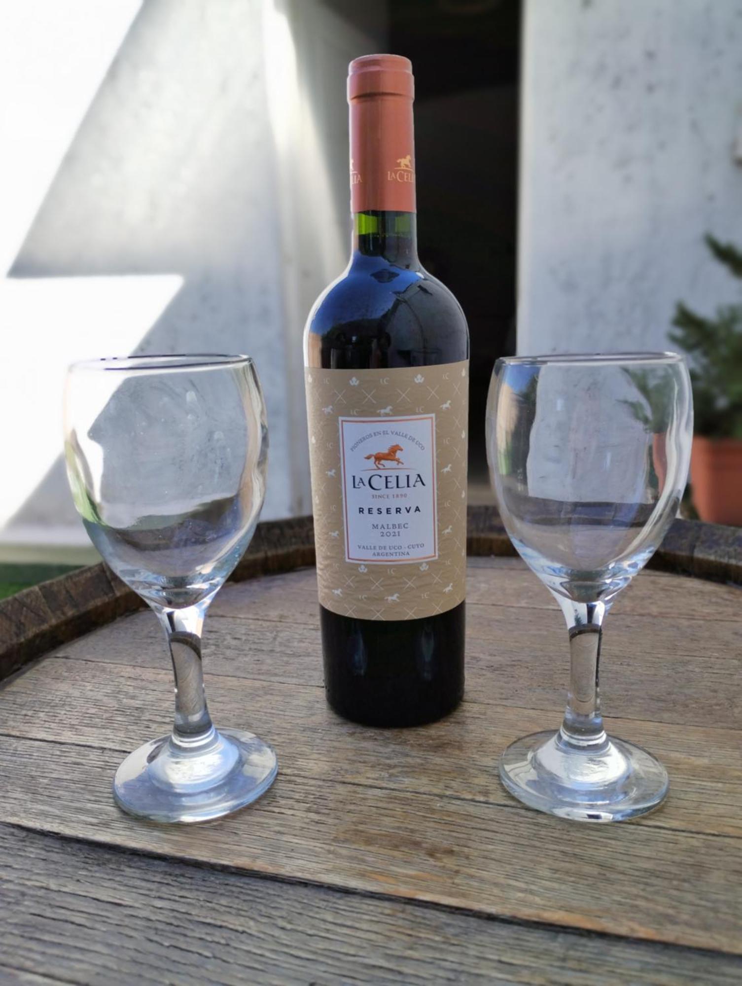 La Barrica Estudio En Mendoza Capital, Centrico Y Acogedor, Con Hermosa Terraza Para Disfrutar Esterno foto